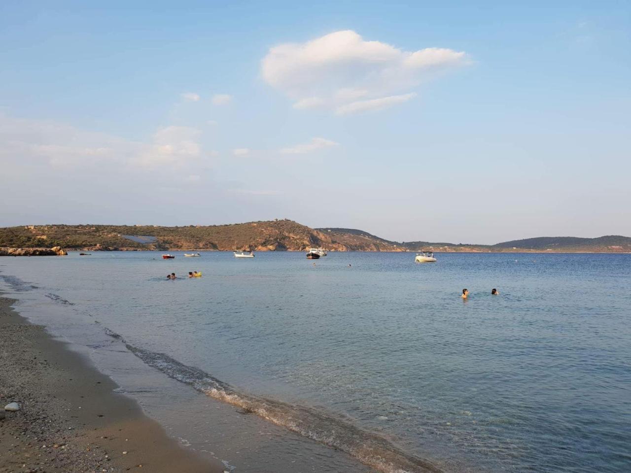 Domaine Papakonstantis To Let Skoutarion